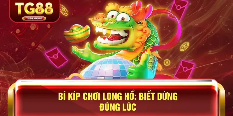 Bí Kíp Chơi Long Hổ: Biết Dừng Đúng Lúc