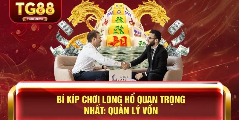 Bí Kíp Chơi Long Hổ Quan Trọng Nhất: Quản Lý Vốn